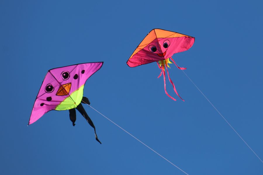 kite
